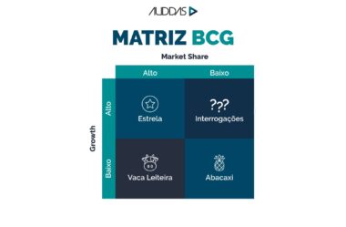 Matriz BCG: confira tudo o que você precisa saber sobre ela