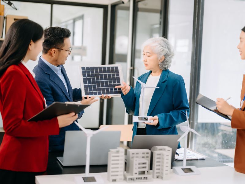 crescimento sustentável estratégias