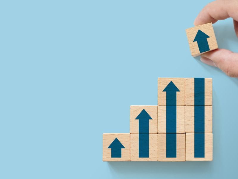 crescimento sustentável da empresa