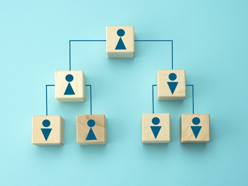 estrutura organizacional linear