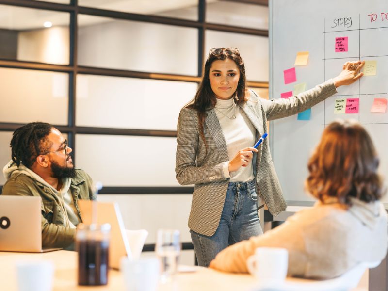 estrutura organizacional matricial