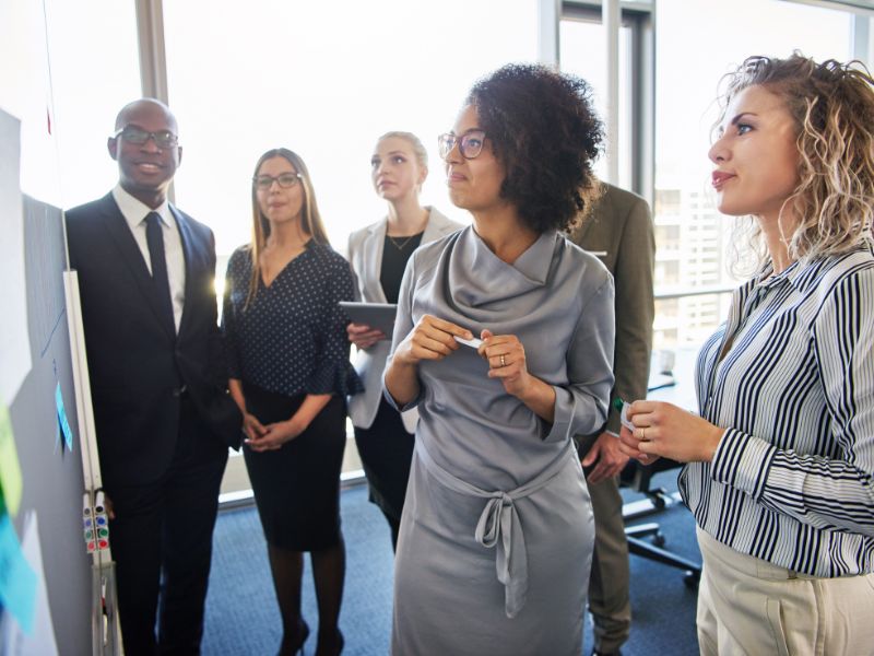 Estrutura Organizacional Divisional