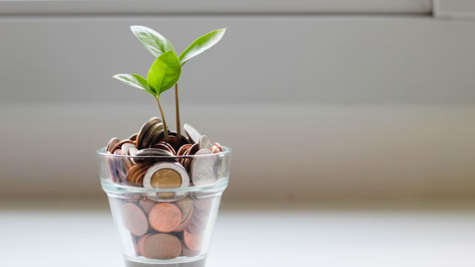 A imagem apresenta uma metáfora visual clássica para investimento, economia e crescimento financeiro.